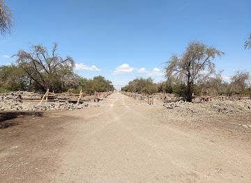 chile/tarapaca-region/attraction/reserva-nacional-pampa-del-tamarugal