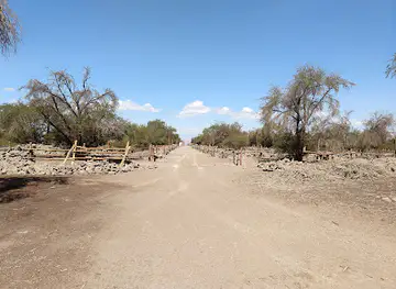 Reserva Nacional Pampa del Tamarugal