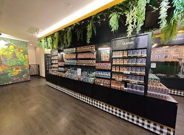 indonesia/ubud/attraction/junglegold-chocolate-sanur-pod-chocolate