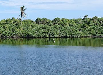 maldives/gan-island/attraction/bird-watch