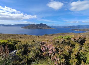 australia/mount-field-national-park/attraction/red-knoll-lookout