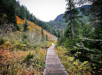 washington/mount-baker-snoqualmie-national-forest/attraction/lake-twenty-two-trailhead