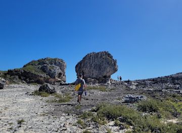 the-bahamas/eleuthera-island/attraction/the-cow-and-the-bull