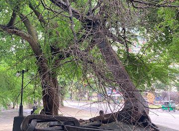 sri-lanka/colombo-district/attraction/admiral-anchor