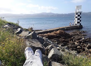 new-zealand/wellington/attraction/point-halswell-lighthouse