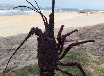 madagascar/manakara/attraction/village-des-pecheurs-manakara