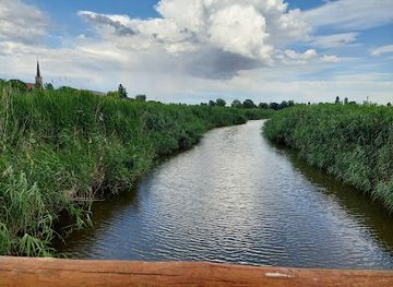 hungary/kiskunsag/attraction/tiszakecskei-nadirigo-tanosveny