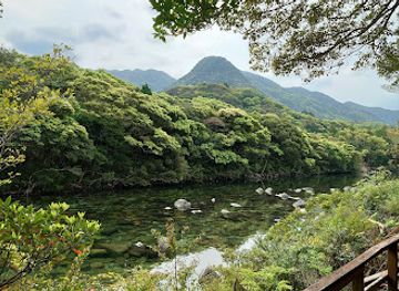 japan/yakushima/attraction/shakunage-no-mori-park