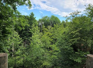 michigan/pere-marquette-state-forest/attraction/michigan-legacy-art-park