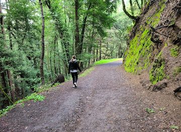 california/redwood-national-and-state-parks/attraction/sanborn-county-park