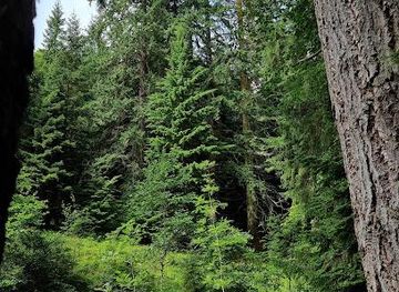 united-kingdom/inverness/attraction/reelig-glen