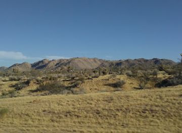 california/joshua-tree/attraction/joshua-tree-memorial-park