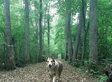 estonia/kuressaare/attraction/kudjape-upa-terviserada