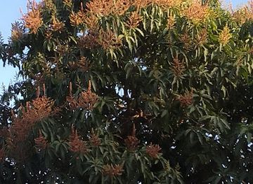 cameroon/bouba-njida-national-park/attraction/poste-controle-sortie-de-garoua