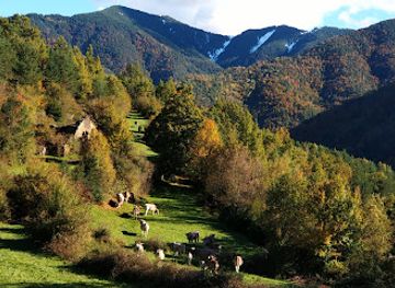 spain/ordesa-y-monte-perdido-national-park/attraction/bosque-de-la-pardina-del-senor
