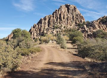 arizona/prescott/attraction/watson-woods-riparian-preserve