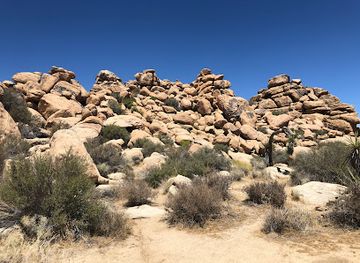 california/joshua-tree-national-park/attraction/boy-scout-trail