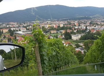 slovenia/maribor-pohorje/attraction/mestni-vrh