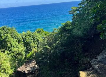 jamaica/port-maria/attraction/kwame-waterfalls