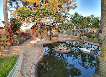 croatia/podravina/attraction/bizik-family-zoo