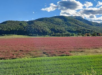 slovenia/maribor/attraction/pustolovski-park-betnava