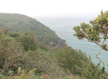 jersey/saint-ouen/attraction/egypt-woods