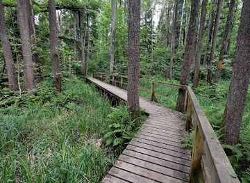 lithuania/suvalkija/attraction/buktos-gamtinis-pazintinis-takas