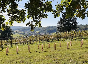 austria/weinviertel/attraction/kellerviertel-heiligenbrunn