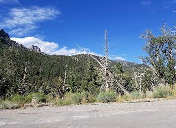nevada/mount-charleston/attraction/cathedral-rock-group-picnic-area