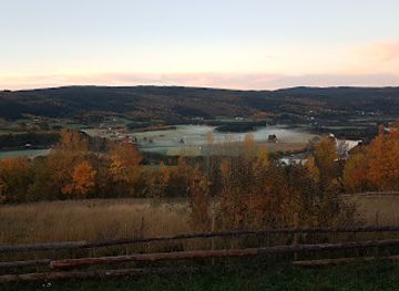 norway/trondelag/attraction/alpakkalia