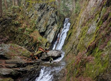 massachusetts/mount-greylock-state-reservation/attraction/savoy-mountain-state-forest