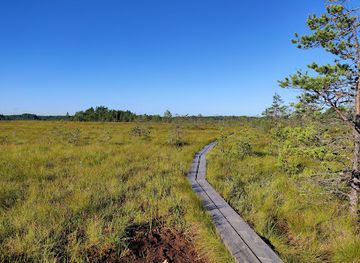 finland/urho-kekkonen-national-park/attraction/valkmusa-national-park