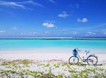 maldives/kaafu-atoll/attraction/shark-point-thulusdhoo