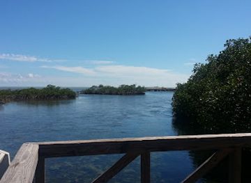 the-bahamas/new-providence/attraction/bonefish-pond-national-park