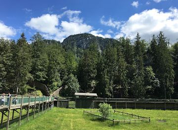 switzerland/jura-mountains/attraction/juraparc