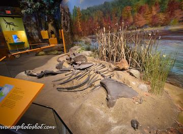 new-jersey/raritan-valley/attraction/the-newark-museum-of-art