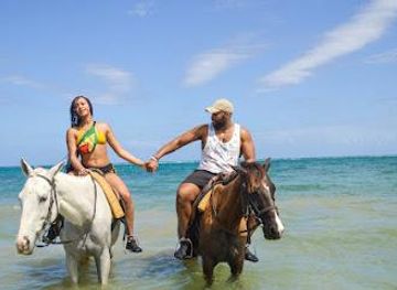 jamaica/ocho-rios/attraction/suzette-tours-jamaica