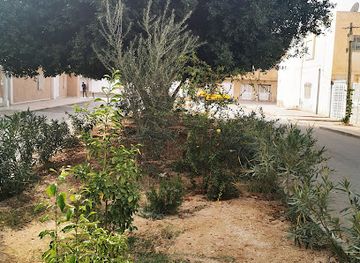 tunisia/kairouan/attraction/jardin-du-quartier