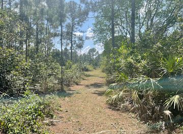 florida/homestead/attraction/seminole-wayside-park