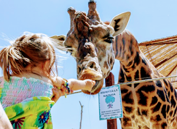 italy/abruzzo/attraction/zoo-d-abruzzo