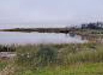louisiana/holly-beach/attraction/blue-goose-trail