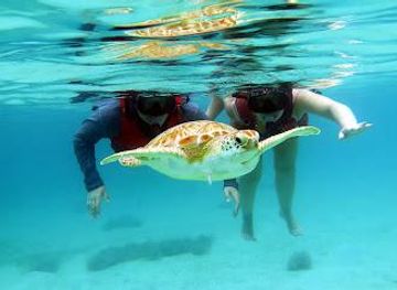 puerto-rico/culebra/attraction/st-thomas-adventure-tours
