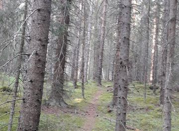 sweden/jamtland/attraction/torvalla-forest-reserve