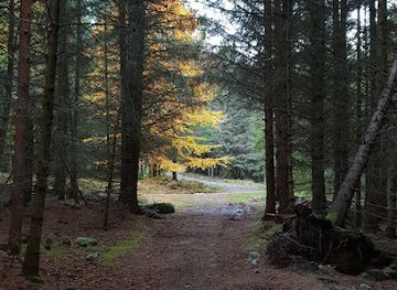 norway/more-og-romsdal/attraction/aukraskogen