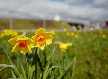 belgium/leuven/attraction/park-spoor-noord