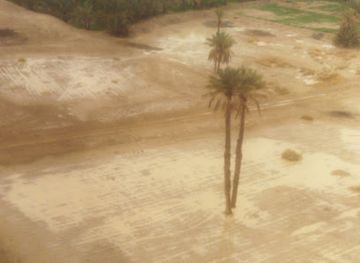 morocco/sais/attraction/morocco-map-tours