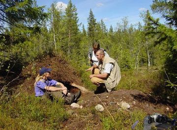 sweden/dalarna/attraction/bjorn-vildmark