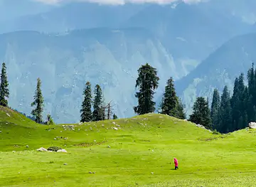 Paya Meadows