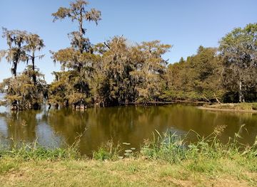 louisiana/bayou-country/attraction/cypress-island-preserve