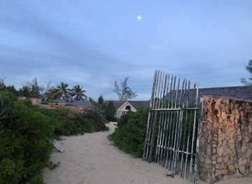 the-bahamas/andros-island/attraction/cave-beach